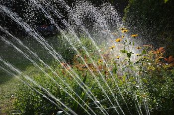 sprinkler garden 1
